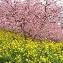 �͒Í��܂�͂Q���V������